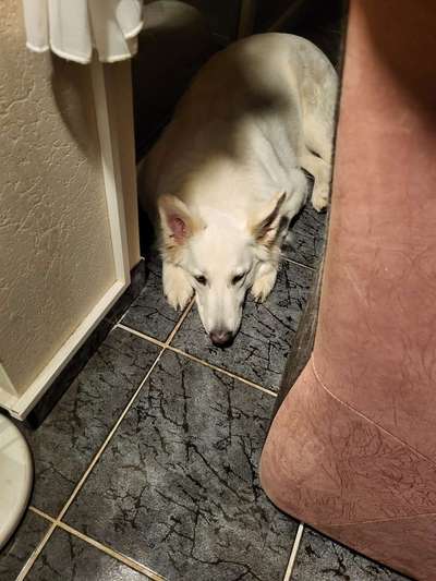 Freddys Kummerkasten-Beitrag-Bild