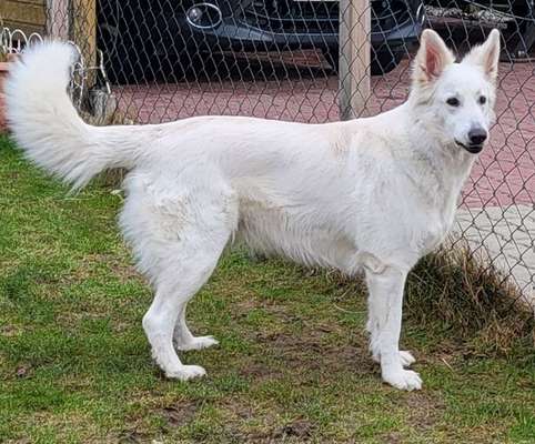 Freddys Kummerkasten-Beitrag-Bild