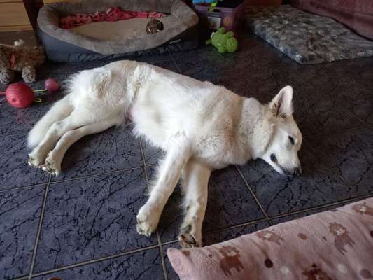 Freddys Kummerkasten-Beitrag-Bild