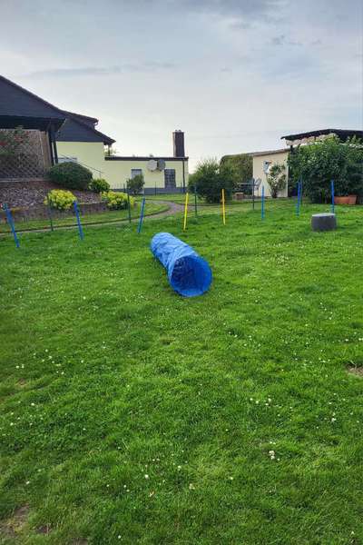 Freddys Kummerkasten-Beitrag-Bild