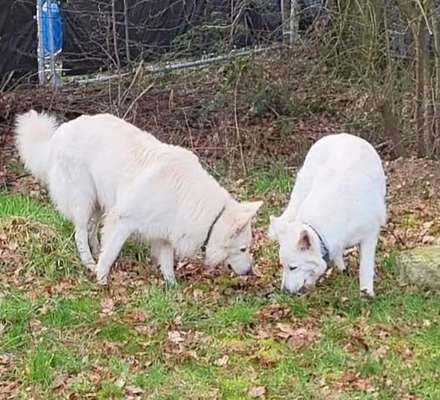 Freddys Kummerkasten-Beitrag-Bild