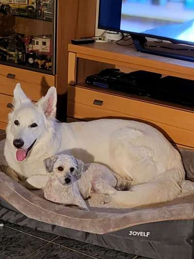 Freddys Kummerkasten-Beitrag-Bild