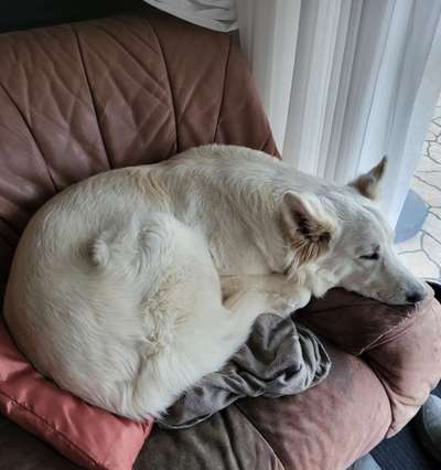 Freddys Kummerkasten-Beitrag-Bild