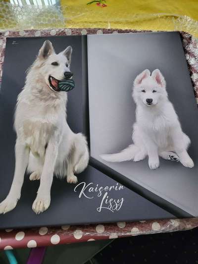 Freddys Kummerkasten-Beitrag-Bild