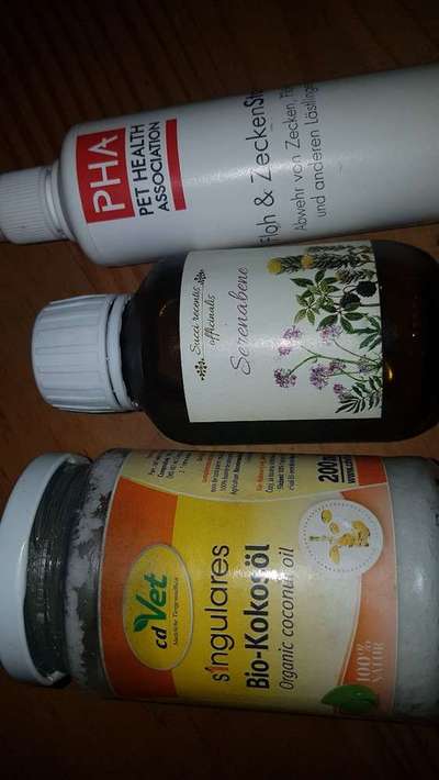 Bravecto-Beitrag-Bild