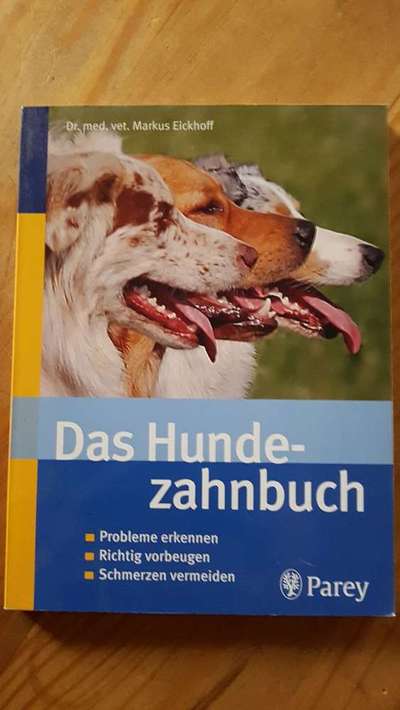 Zähne-Beitrag-Bild