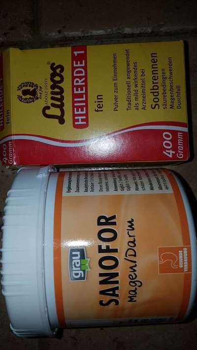 Wie schnell reagieren Hunde mit Durchfall?-Beitrag-Bild