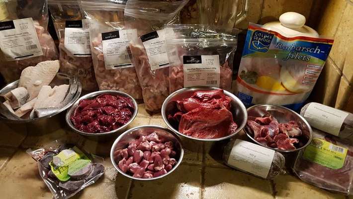 Notfallration für den Hund ...-Beitrag-Bild