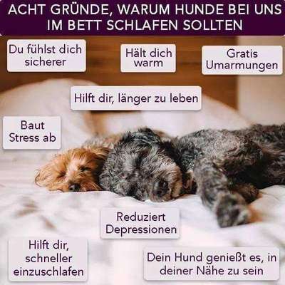 Im Bett schlafen-Beitrag-Bild