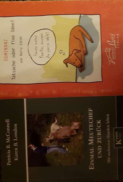 Hunde-Fachliteratur-Beitrag-Bild