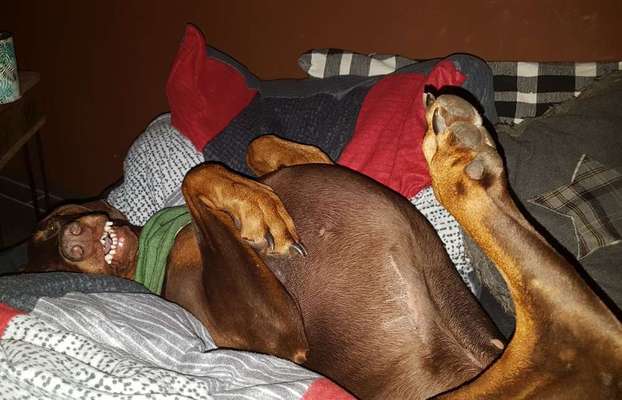 Im Bett schlafen-Beitrag-Bild