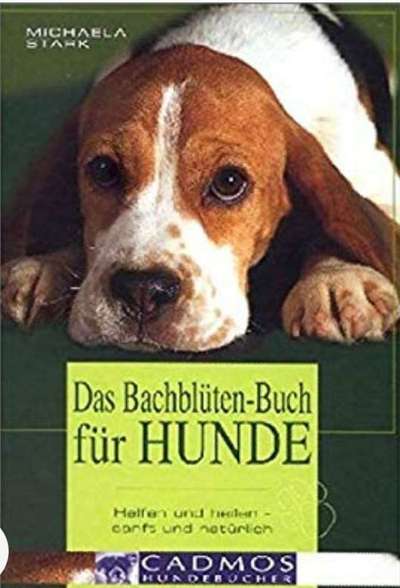 Trauer beim Hund-Beitrag-Bild