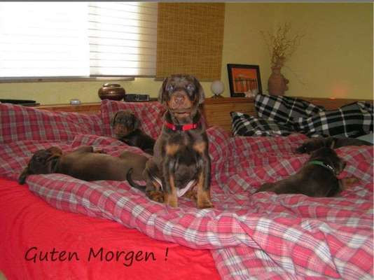 Im Bett schlafen-Beitrag-Bild