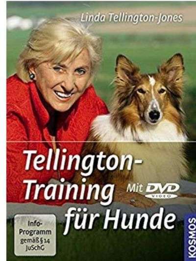 Trauer beim Hund-Beitrag-Bild