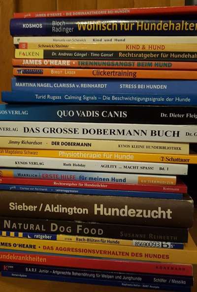 Hunde-Fachliteratur-Beitrag-Bild