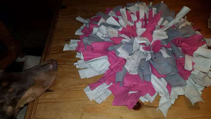 Schnüffelteppich-Beitrag-Bild