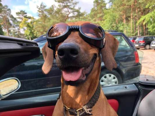 Lieblingsbild-Beitrag-Bild