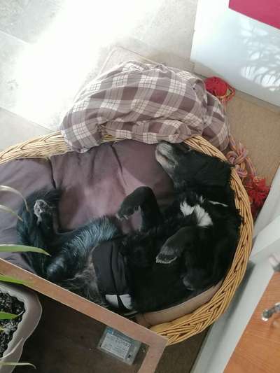 Die unbequemsten und lustigsten Schlafpositionen-Beitrag-Bild