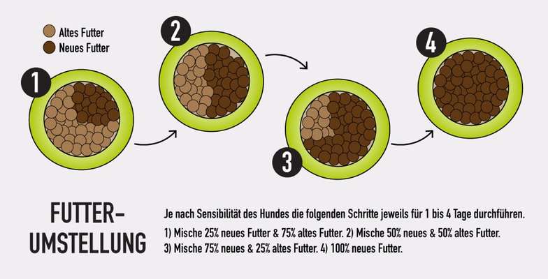 Allergiker-Beitrag-Bild