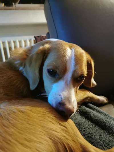 120. Fotochallenge-Beitrag-Bild