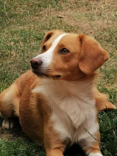 Zeigt eure Portraits-Beitrag-Bild