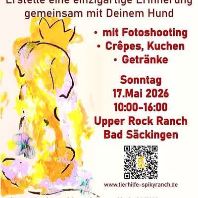 Hundetreffen-Malen mit Hund-Bild