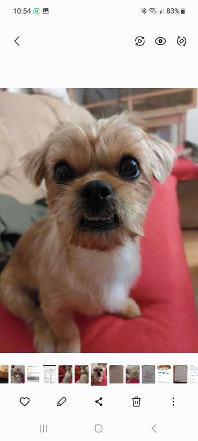 26. Collagen Challenge- Zeigt her eure Zähne-Beitrag-Bild