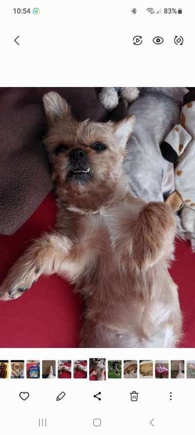 26. Collagen Challenge- Zeigt her eure Zähne-Beitrag-Bild