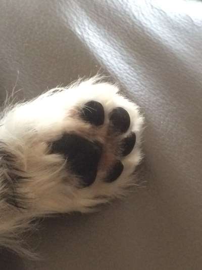 Blick fürs Detail!-Beitrag-Bild