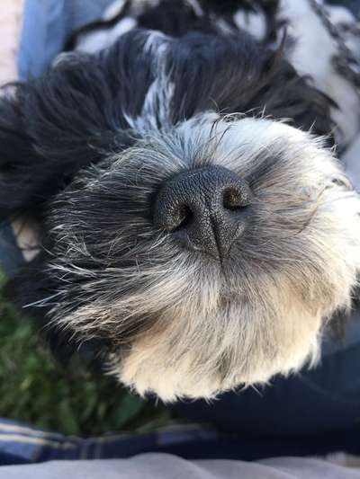 Blick fürs Detail!-Beitrag-Bild