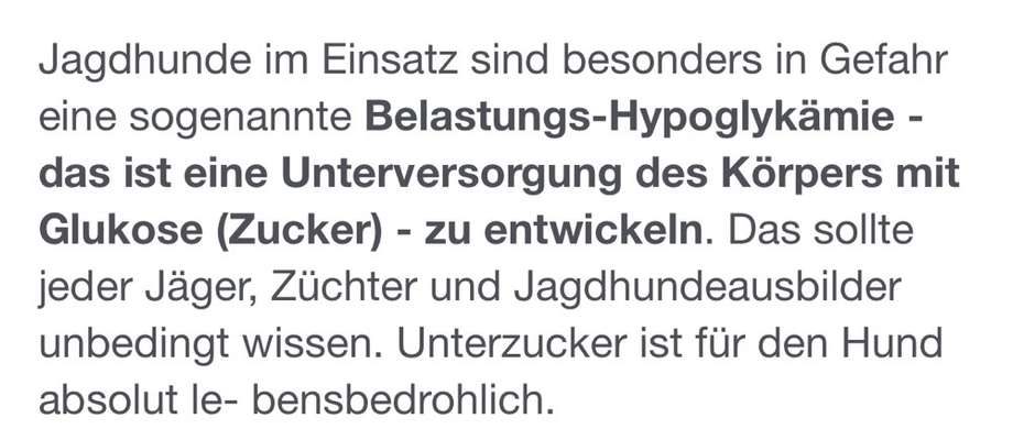 Veränderter Pfotengeruch - Krank ?-Beitrag-Bild