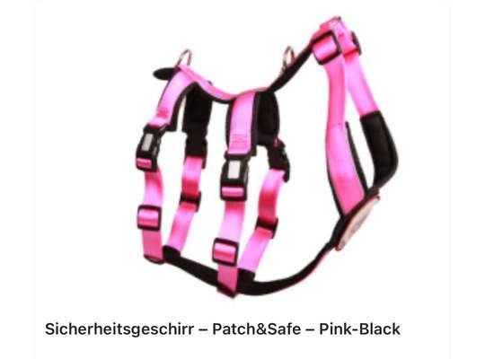 Wie sitzt mein Geschirr?-Beitrag-Bild