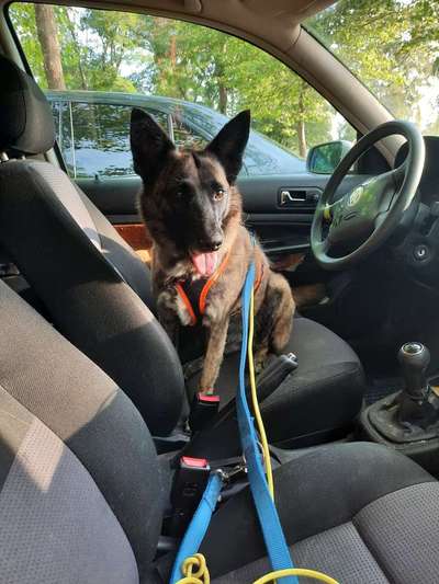 Unsere Sternchen ******-Beitrag-Bild