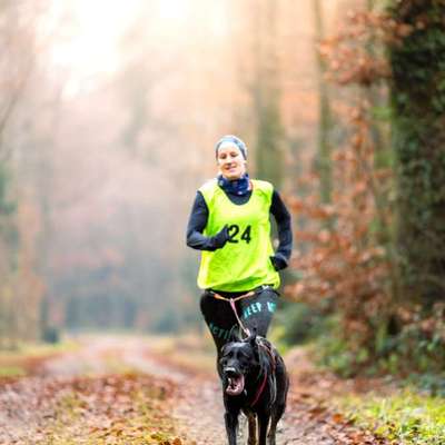 Hundetreffen-CaniCross-Bild