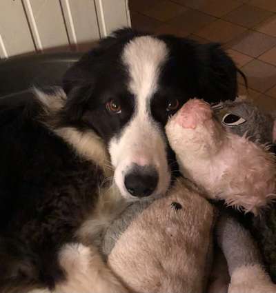 Fotochallange Nr. 57     PORTRÄT.   Beendet!!!!!!!!-Beitrag-Bild