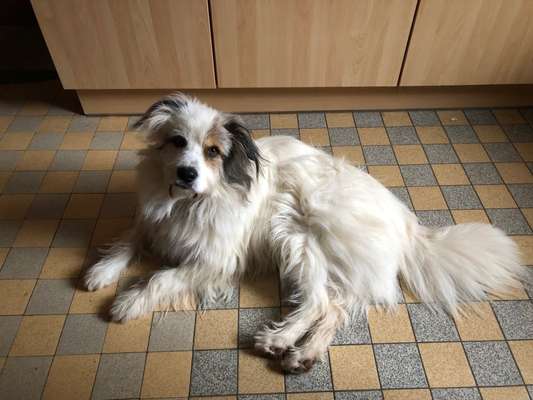 Gibts hier Mioritic Besitzer?-Beitrag-Bild