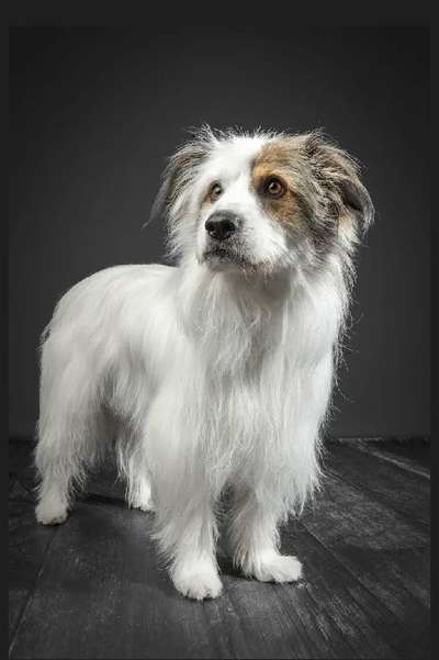 Gibts hier Mioritic Besitzer?-Beitrag-Bild