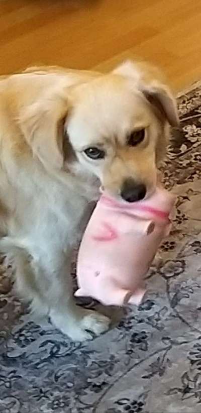 150. Foto Challaenge:  Die Augen, der Spiegel der Seele-Beitrag-Bild