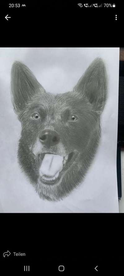 Zeichnungen eurer Hunde-Beitrag-Bild