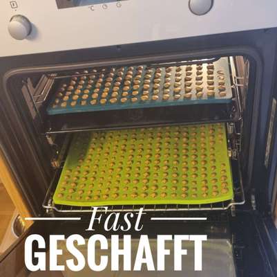 Heute gibt es.....der "ich mach die Leckerlis-Selber-Thread"-Beitrag-Bild