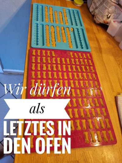 Heute gibt es.....der "ich mach die Leckerlis-Selber-Thread"-Beitrag-Bild