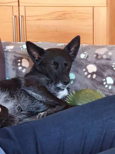 Gibt es Namens-Verwandte-Beitrag-Bild