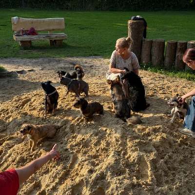 Hundetreffen-Klein aber Oho Wau 🐾🐾-Bild