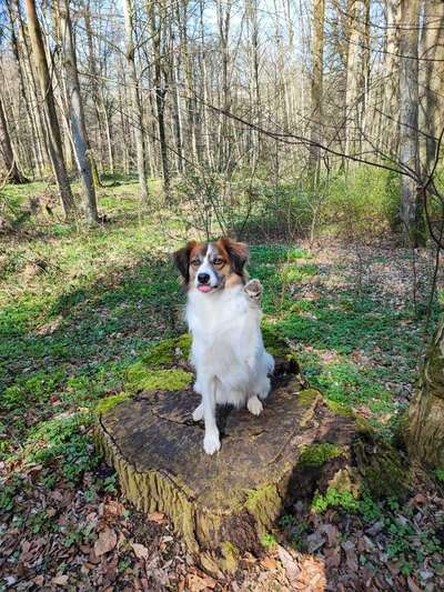 Foto Challenge Nr. 79-Beitrag-Bild