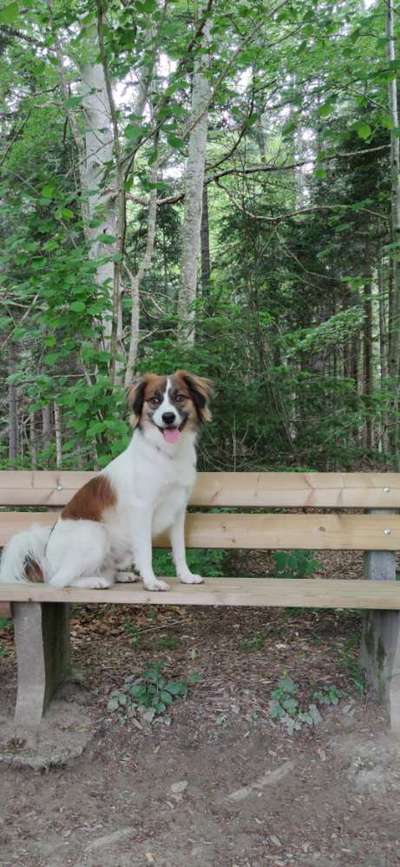 Foto Challenge Nr. 79-Beitrag-Bild