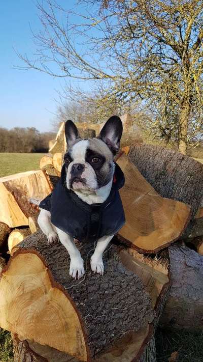 42.Fotochallenge - Eure schönen Momente beim Spaziergang-Beitrag-Bild