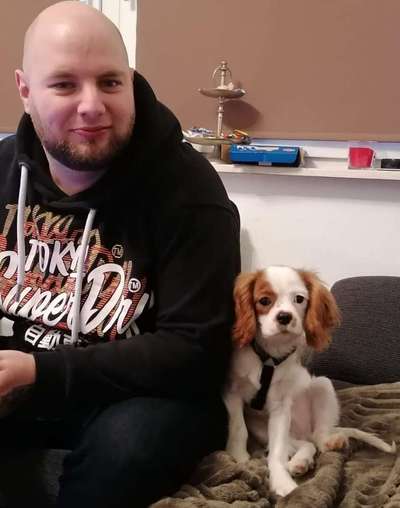 Cavalier King Charles Spaniel?-Beitrag-Bild