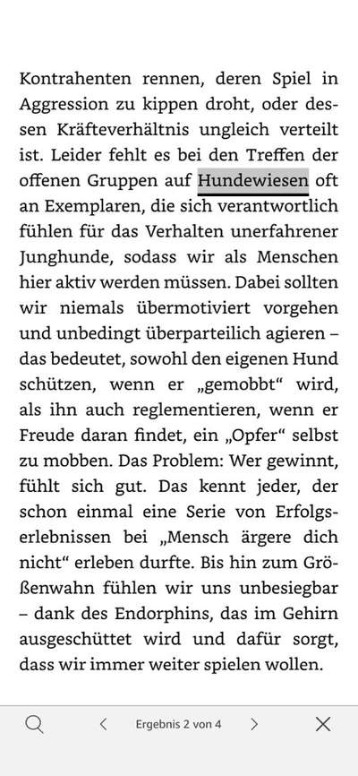 Herr/Frau Mustermann auf der Hunde wiese-Beitrag-Bild