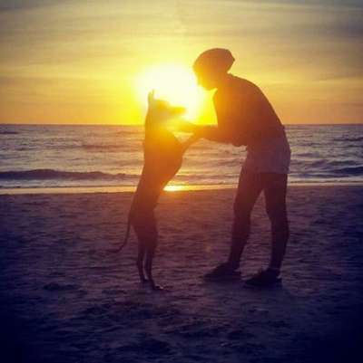 Postet eure schönsten Bilder von Spaziergängen in 2020!-Beitrag-Bild