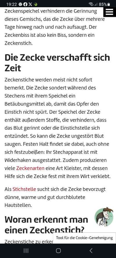 Zecke am Kopf entfernen - Hund zeigt Zähne-Beitrag-Bild